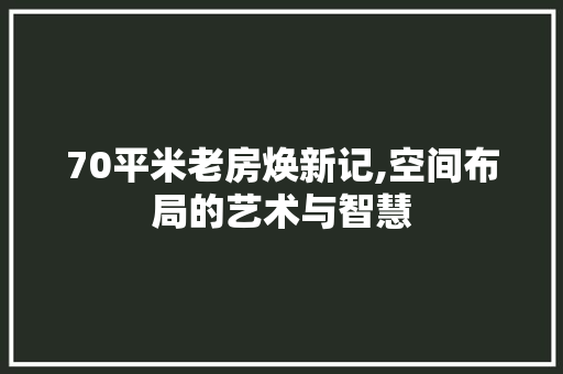 70平米老房焕新记,空间布局的艺术与智慧