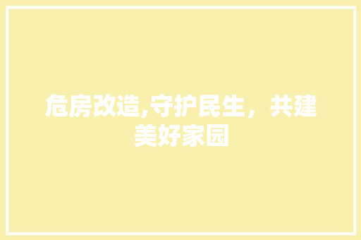 危房改造,守护民生，共建美好家园