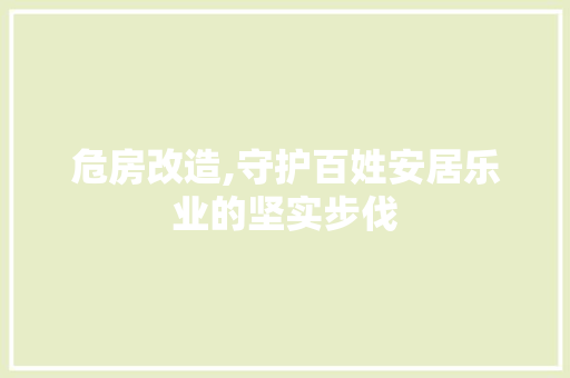 危房改造,守护百姓安居乐业的坚实步伐
