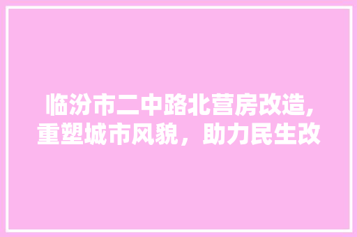 临汾市二中路北营房改造,重塑城市风貌，助力民生改善