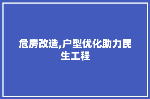 危房改造,户型优化助力民生工程