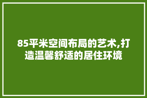 85平米空间布局的艺术,打造温馨舒适的居住环境