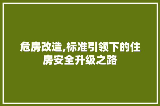 危房改造,标准引领下的住房安全升级之路