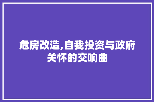 危房改造,自我投资与政府关怀的交响曲