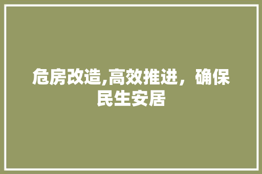 危房改造,高效推进，确保民生安居
