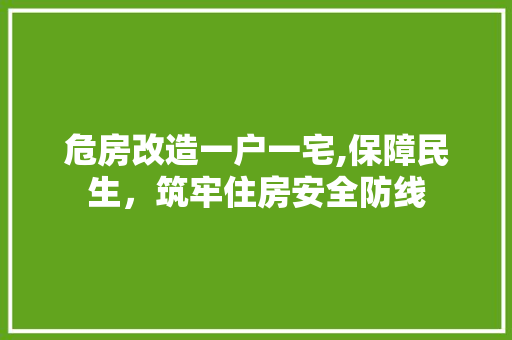 危房改造一户一宅,保障民生，筑牢住房安全防线
