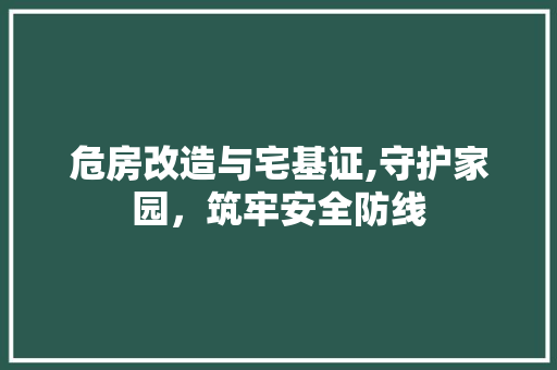 危房改造与宅基证,守护家园，筑牢安全防线