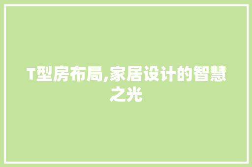 T型房布局,家居设计的智慧之光