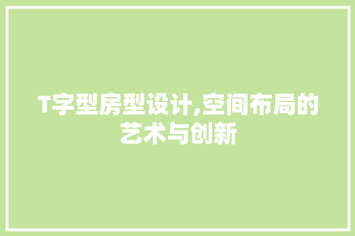 T字型房型设计,空间布局的艺术与创新
