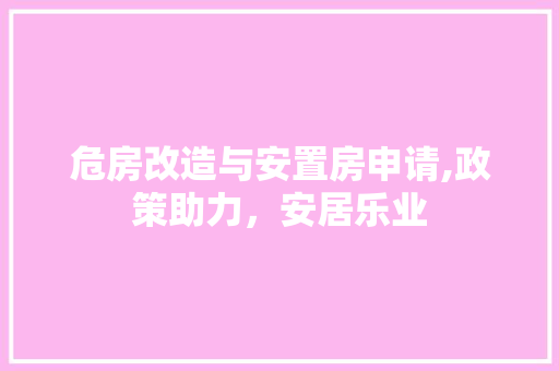 危房改造与安置房申请,政策助力，安居乐业