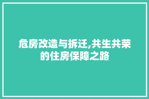 危房改造与拆迁,共生共荣的住房保障之路