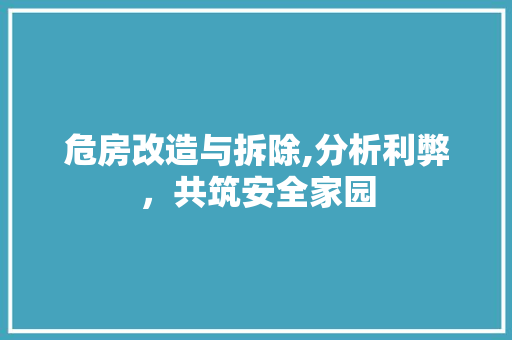 危房改造与拆除,分析利弊，共筑安全家园