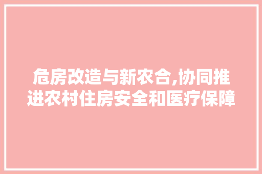 危房改造与新农合,协同推进农村住房安全和医疗保障体系建设