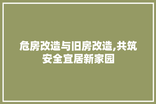 危房改造与旧房改造,共筑安全宜居新家园 装修材料