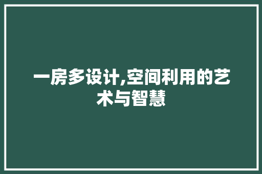 一房多设计,空间利用的艺术与智慧