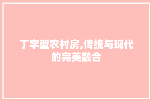 丁字型农村房,传统与现代的完美融合