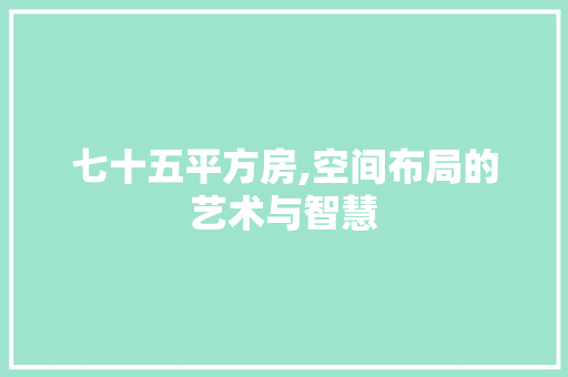 七十五平方房,空间布局的艺术与智慧