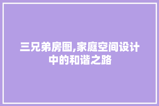 三兄弟房图,家庭空间设计中的和谐之路