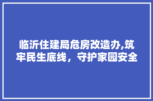 临沂住建局危房改造办,筑牢民生底线，守护家园安全