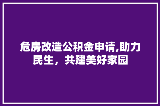 危房改造公积金申请,助力民生，共建美好家园