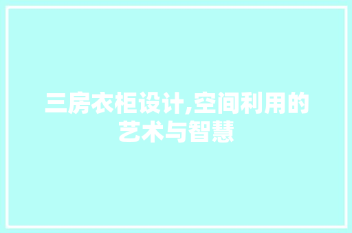 三房衣柜设计,空间利用的艺术与智慧