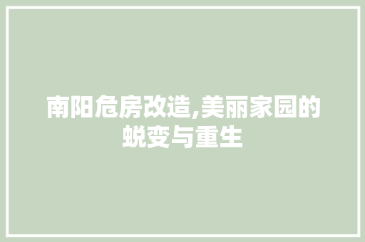 南阳危房改造,美丽家园的蜕变与重生