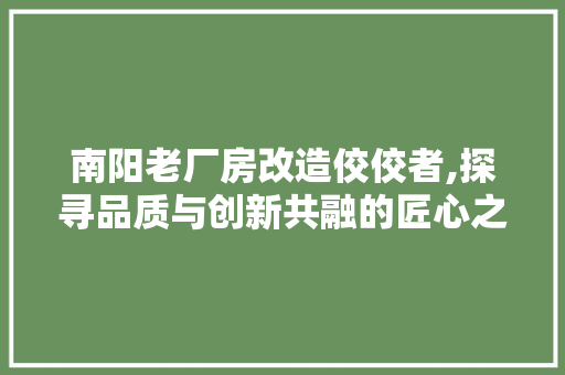南阳老厂房改造佼佼者,探寻品质与创新共融的匠心之路
