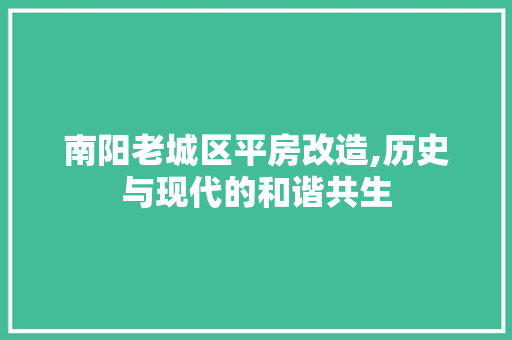南阳老城区平房改造,历史与现代的和谐共生