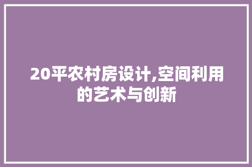 20平农村房设计,空间利用的艺术与创新