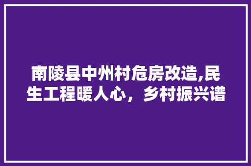 南陵县中州村危房改造,民生工程暖人心，乡村振兴谱新篇
