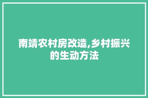 南靖农村房改造,乡村振兴的生动方法