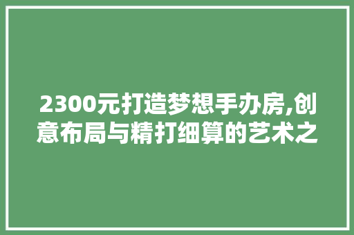 2300元打造梦想手办房,创意布局与精打细算的艺术之旅 装修材料