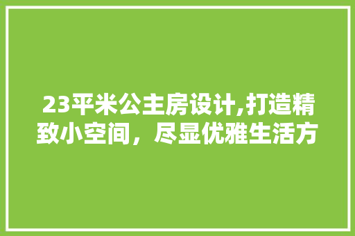 23平米公主房设计,打造精致小空间，尽显优雅生活方法