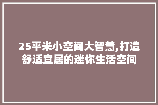 25平米小空间大智慧,打造舒适宜居的迷你生活空间