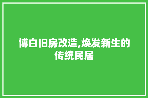博白旧房改造,焕发新生的传统民居