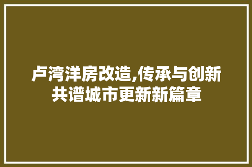 卢湾洋房改造,传承与创新共谱城市更新新篇章