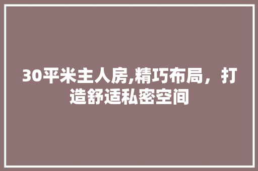 30平米主人房,精巧布局，打造舒适私密空间