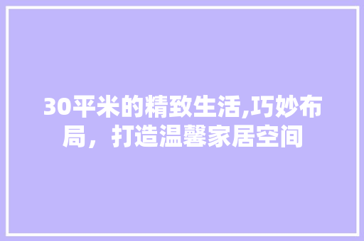 30平米的精致生活,巧妙布局，打造温馨家居空间