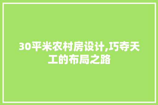 30平米农村房设计,巧夺天工的布局之路