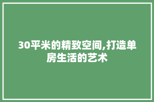 30平米的精致空间,打造单房生活的艺术 装修材料