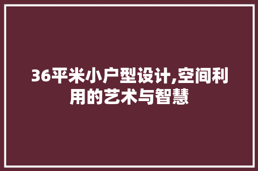 36平米小户型设计,空间利用的艺术与智慧