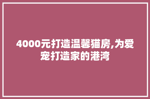 4000元打造温馨猫房,为爱宠打造家的港湾