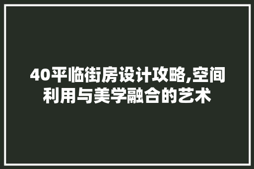 40平临街房设计攻略,空间利用与美学融合的艺术