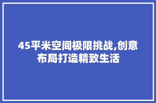 45平米空间极限挑战,创意布局打造精致生活 隔断设计