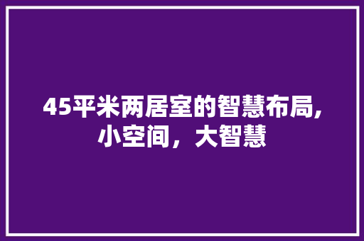 45平米两居室的智慧布局,小空间，大智慧