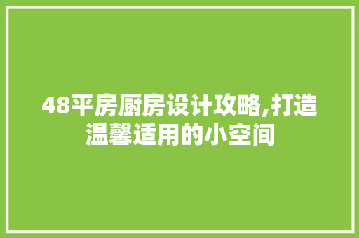 48平房厨房设计攻略,打造温馨适用的小空间