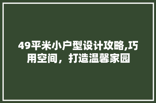 49平米小户型设计攻略,巧用空间，打造温馨家园 门窗装修