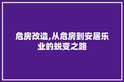 危房改造,从危房到安居乐业的蜕变之路