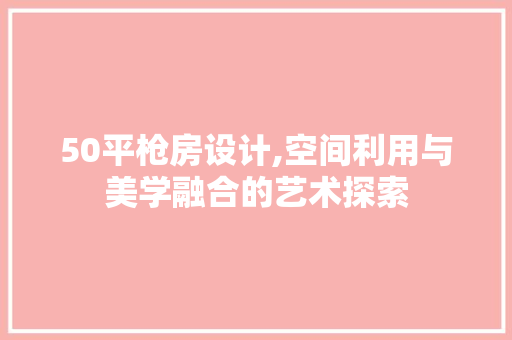 50平枪房设计,空间利用与美学融合的艺术探索