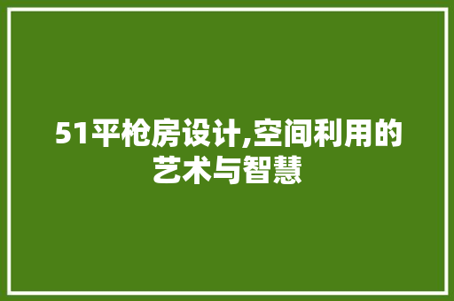 51平枪房设计,空间利用的艺术与智慧